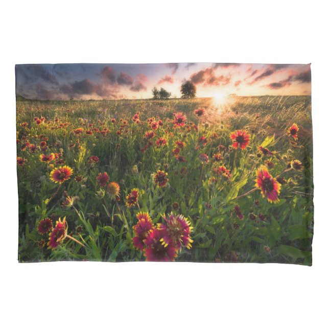 Flowers | Indian Blanket Wildflower Texas Pillow Case (Front)