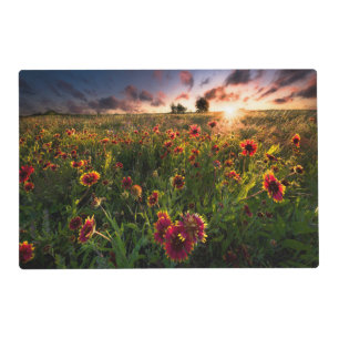 Flowers Indian Blanket Wildflower Texas Placemat