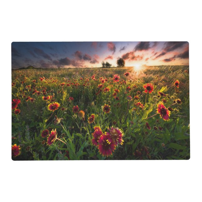 Flowers | Indian Blanket Wildflower Texas Placemat (Front)