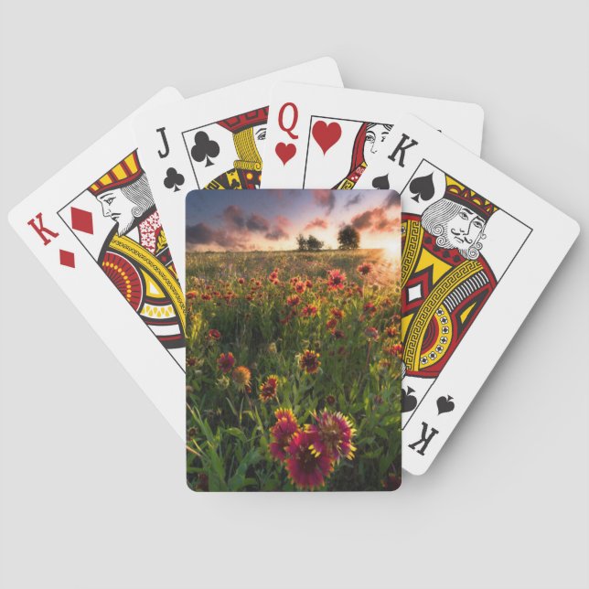 Flowers | Indian Blanket Wildflower Texas Poker Cards (Back)