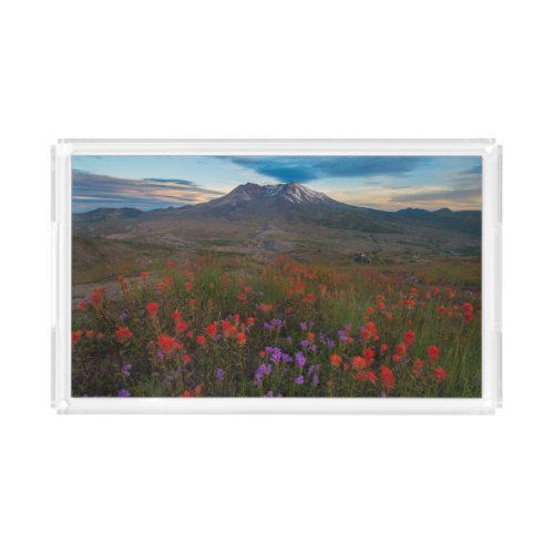 Flowers  Indian Paintbrush  Penstemon Acrylic Tray