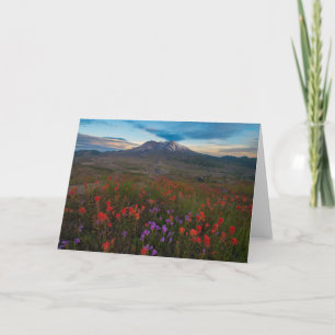 Flowers   Indian Paintbrush & Penstemon Card