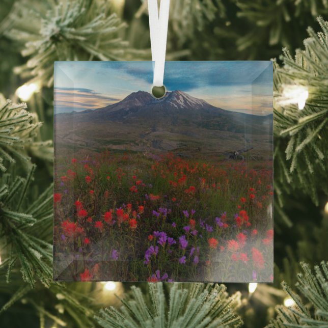 Flowers | Indian Paintbrush & Penstemon Glass Ornament (Insitu)
