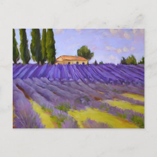 Flowers Lavender fields Postcard