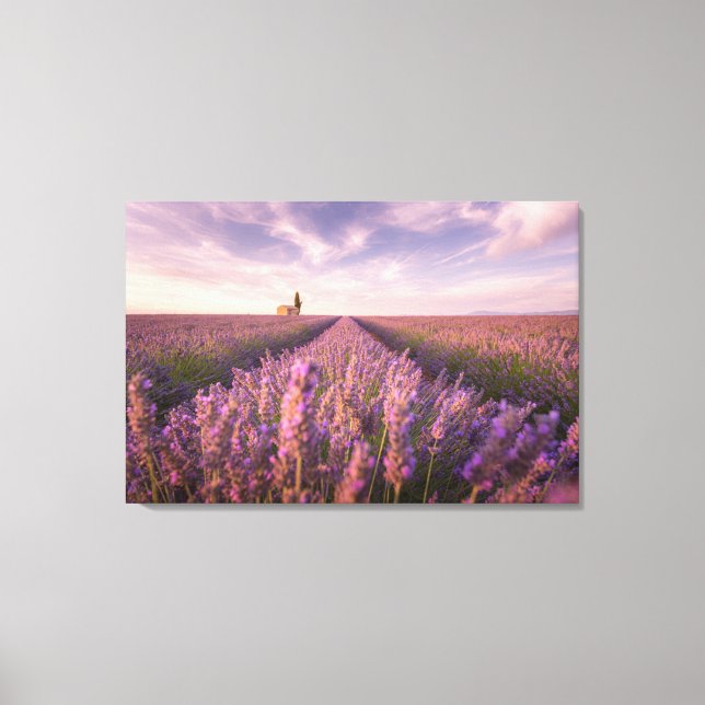Flowers | Lavender Southern France Canvas Print (Front)