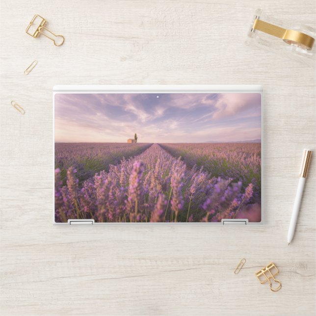 Flowers | Lavender Southern France HP Laptop Skin (Desk)