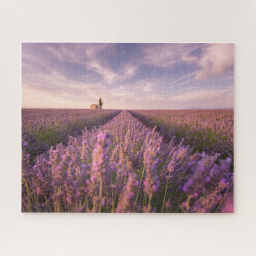 Flowers  Lavender Southern France Jigsaw Puzzle