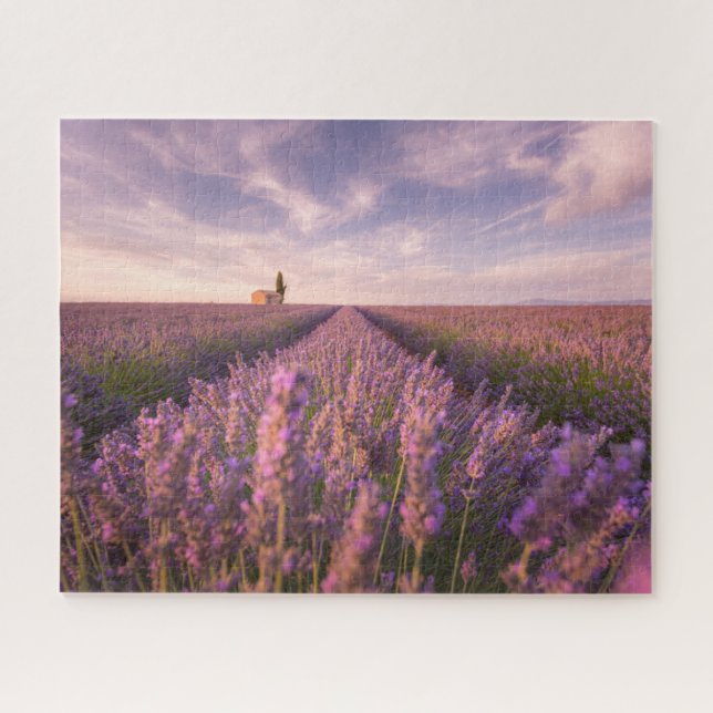 Flowers | Lavender Southern France Jigsaw Puzzle (Horizontal)