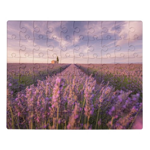 Flowers  Lavender Southern France Jigsaw Puzzle