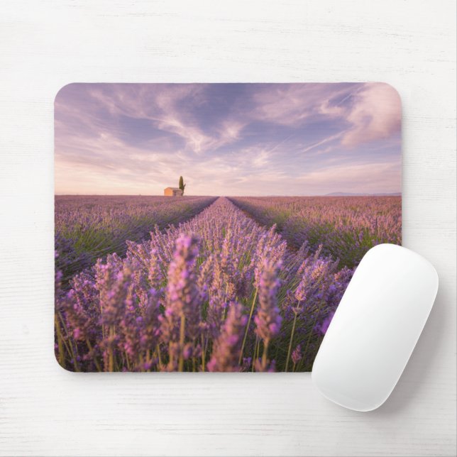 Flowers | Lavender Southern France Mouse Pad (With Mouse)