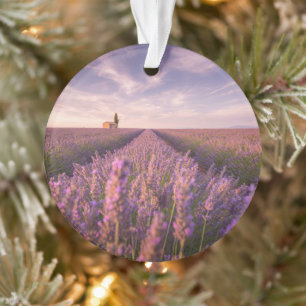 Flowers Lavender Southern France Ornament