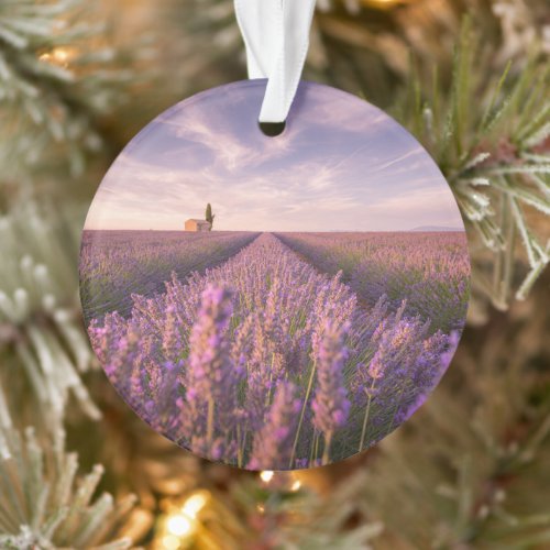 Flowers  Lavender Southern France Ornament