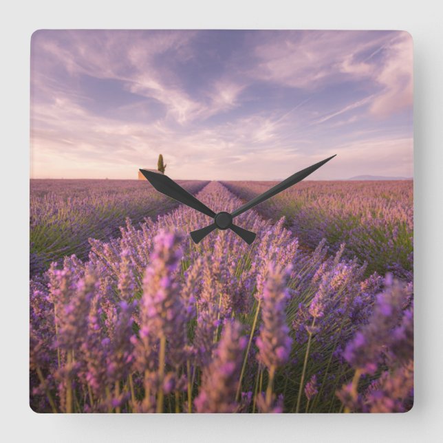 Flowers | Lavender Southern France Square Wall Clock (Front)
