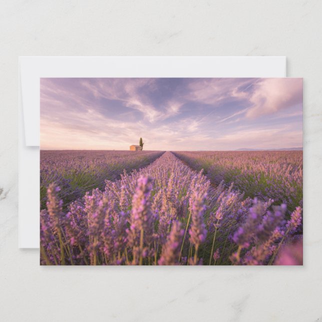 Flowers | Lavender Southern France Thank You Card (Front)