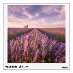 Flowers   Lavender Southern France Wall Decal
