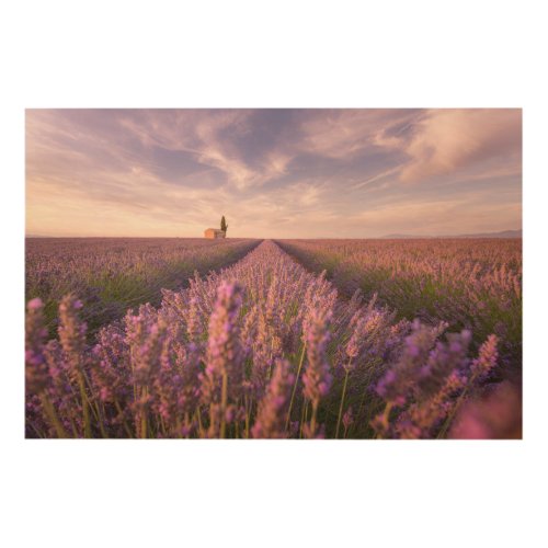 Flowers  Lavender Southern France Wood Wall Art