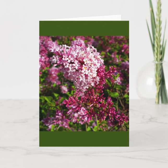 Flowers- Lilacs in the Garden Card (Front)
