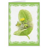 Flowers lilies (Front)