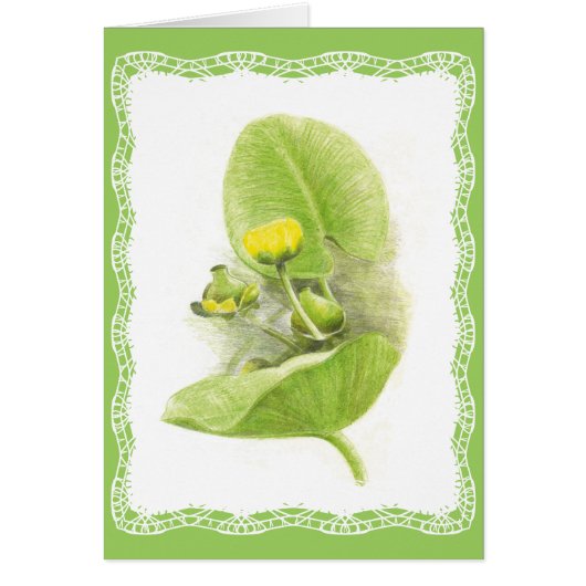 Flowers lilies (Front)