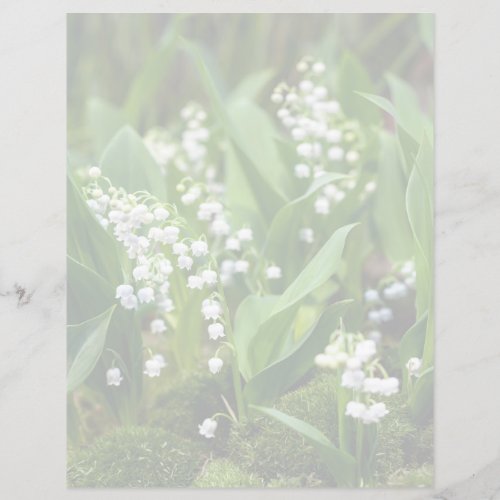 Flowers  Lily of the Valley Sweden