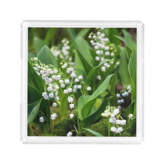 Flowers | Lily of the Valley Sweden Acrylic Tray (Front)