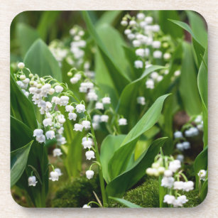 Flowers   Lily of the Valley Sweden Beverage Coaster
