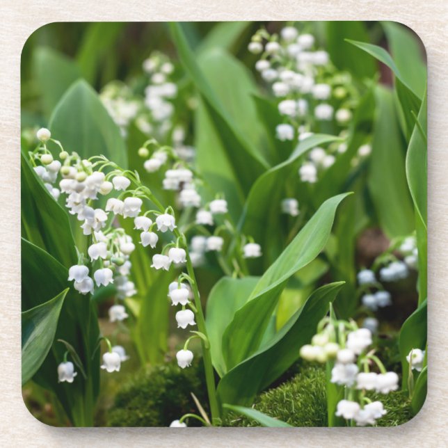 Flowers | Lily of the Valley Sweden Beverage Coaster (Front)