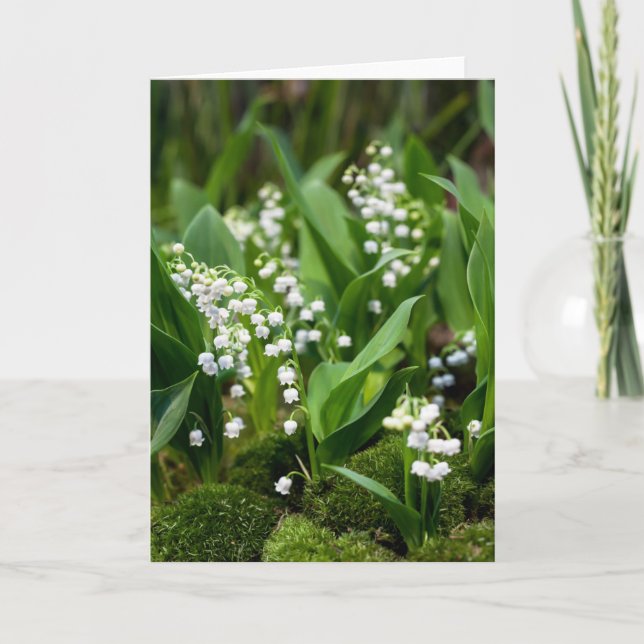 Flowers | Lily of the Valley Sweden Card (Front)