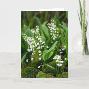 Flowers   Lily of the Valley Sweden Card