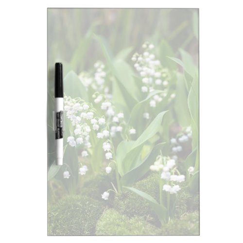 Flowers  Lily of the Valley Sweden Dry Erase Board