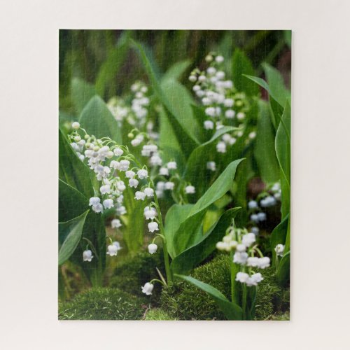 Flowers  Lily of the Valley Sweden Jigsaw Puzzle