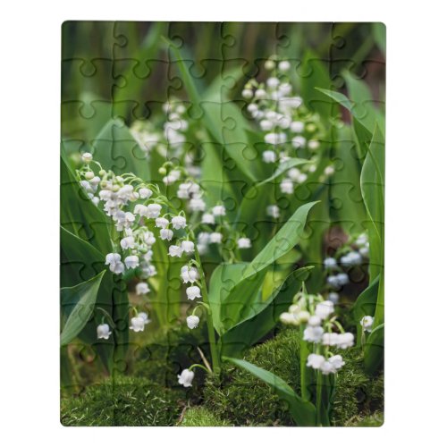 Flowers  Lily of the Valley Sweden Jigsaw Puzzle