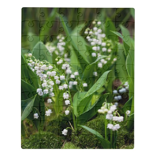 Flowers | Lily of the Valley Sweden Jigsaw Puzzle (Puzzle Vertical)