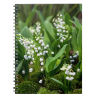 Flowers | Lily of the Valley Sweden