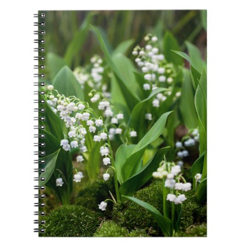 Flowers  Lily of the Valley Sweden Notebook