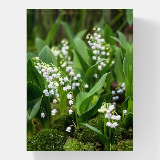 Flowers | Lily of the Valley Sweden Paperweight (Vertical)