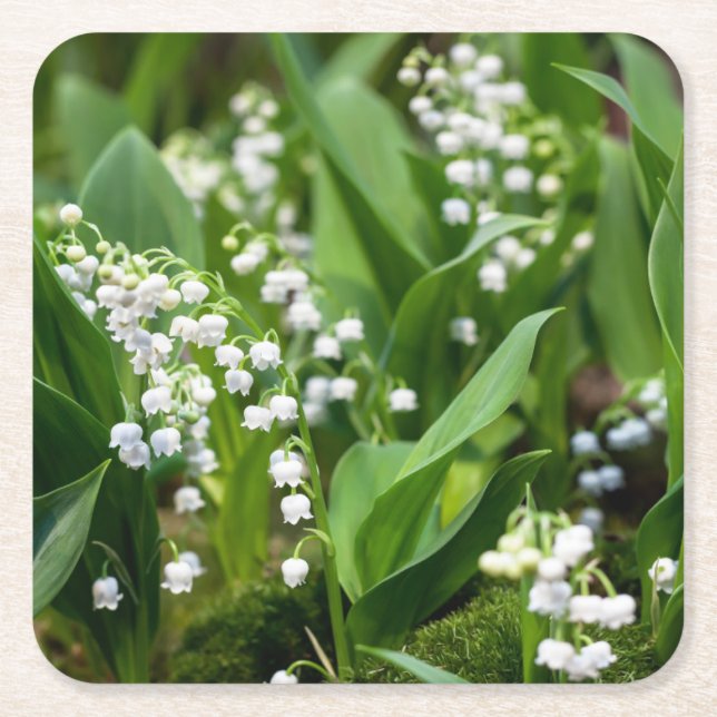 Flowers | Lily of the Valley Sweden Square Paper Coaster (Front)