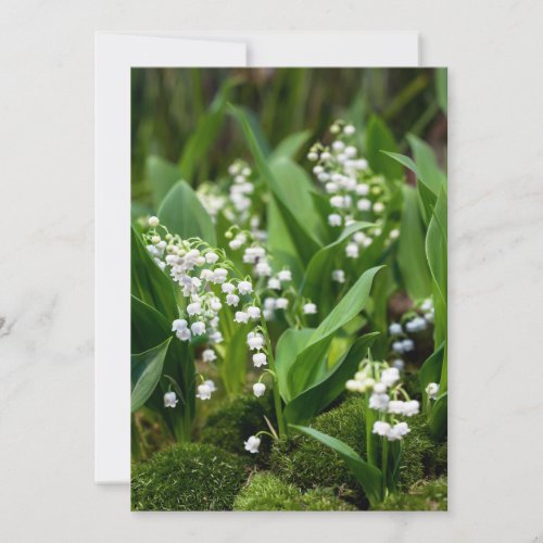 Flowers  Lily of the Valley Sweden Thank You Card