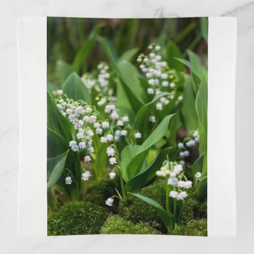 Flowers  Lily of the Valley Sweden Trinket Tray
