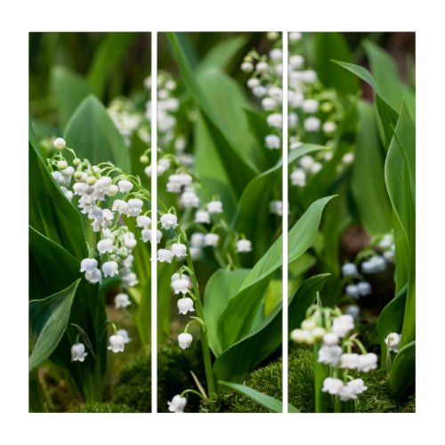 Flowers  Lily of the Valley Sweden Triptych
