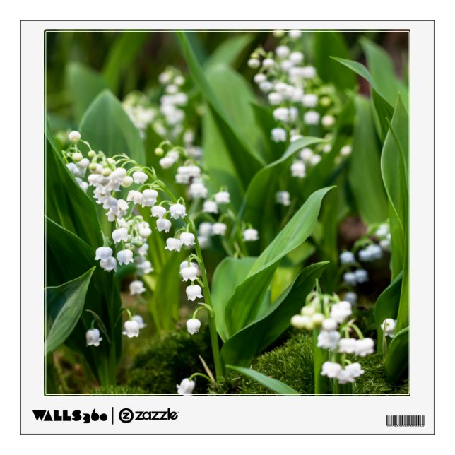 Flowers | Lily of the Valley Sweden Wall Decal (Front)