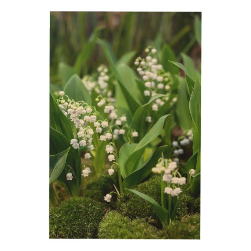 Flowers  Lily of the Valley Sweden Wood Wall Art