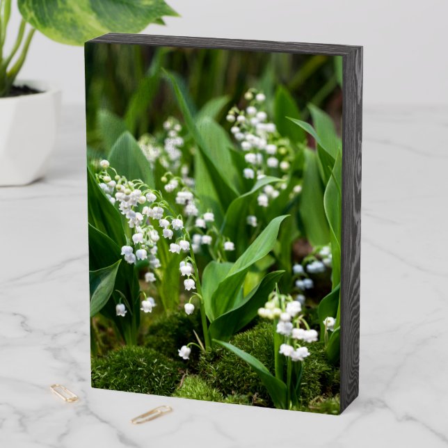 Flowers | Lily of the Valley Sweden Wooden Box Sign (In Situ Vertical)