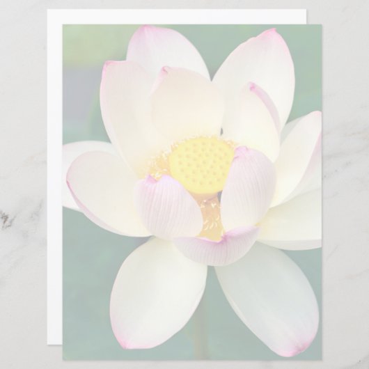 Flowers | Lotus Water Flower (Front/Back)