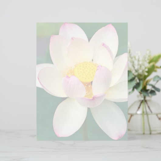 Flowers | Lotus Water Flower (Standing Front)