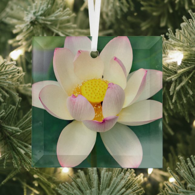 Flowers | Lotus Water Flower Glass Ornament (Insitu)