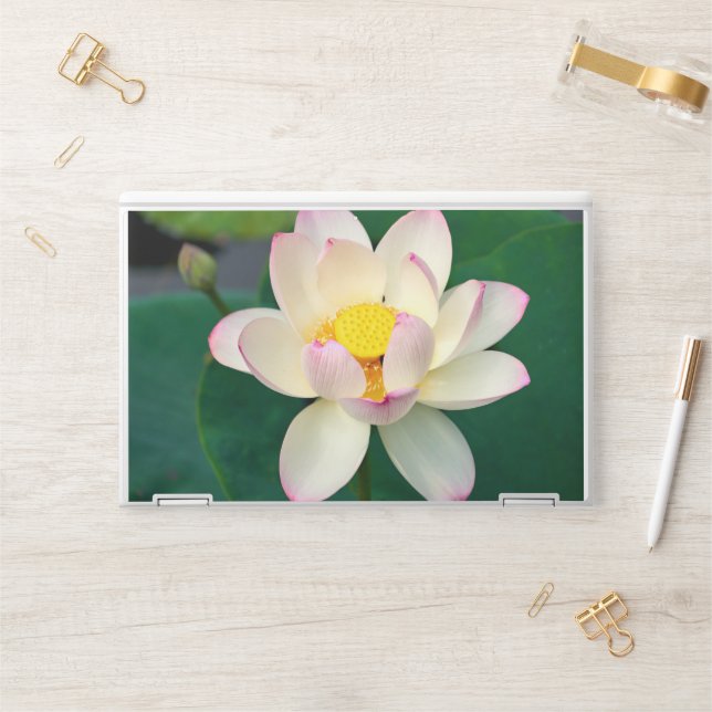 Flowers | Lotus Water Flower HP Laptop Skin (Desk)