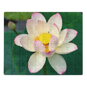 Flowers   Lotus Water Flower Jigsaw Puzzle