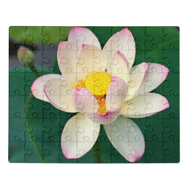 Flowers | Lotus Water Flower Jigsaw Puzzle (Puzzle Horizontal)