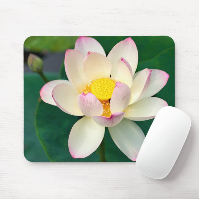 Flowers | Lotus Water Flower Mouse Pad (With Mouse)